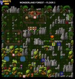 5-3 WONDERLAND FOREST.jpg