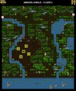 11-2 AMAZON JUNGLE.jpg