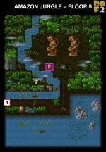 11-5 AMAZON JUNGLE.jpg