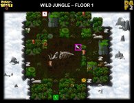 13-1 WILD JUNGLE.jpg