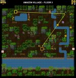 11-3 AMAZON VILLAGE.jpg