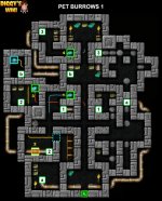 11-1 PET BURROWS 1.jpg