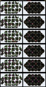 2-3a HIGHMOUNTAIN PASTURES.jpg