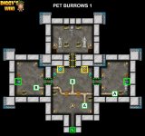 9-1 PET BURROWS 1.jpg