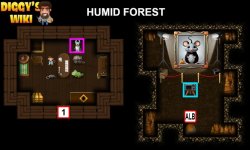 4-2 HUMID FOREST.jpg