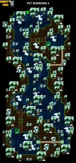 20-1 PET BURROWS 4.jpg