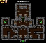 9-1 PET BURROWS 4.jpg